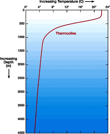 The Thermohaline Circulation AKA Oceanic Circulation Factors that affect the Thermohaline Circulation Thermo means Temperature Haline means Salt Ocean circulations are determined by the temperature