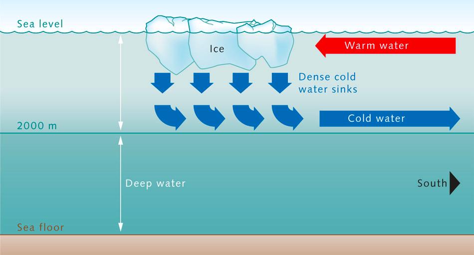 Oceanic Circulation Density and Subsurface Currents An is the movement of seawater in a certain direction 2 main types of ocean currents: 1.