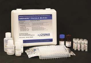 Protein A Mix-N-Go ELISA kit Tailored Protein A ELISA kit is available from Cygnus Technologies http://www.cygnustechnologies.com/product_detail/protein-a-mix-n-go-elisa-kit-jsr.