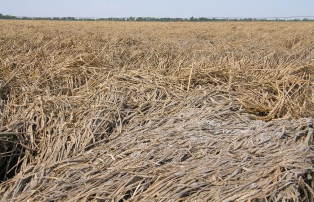 150 Soil and Crop Damages as a Result of Levee Breaches on Ohio