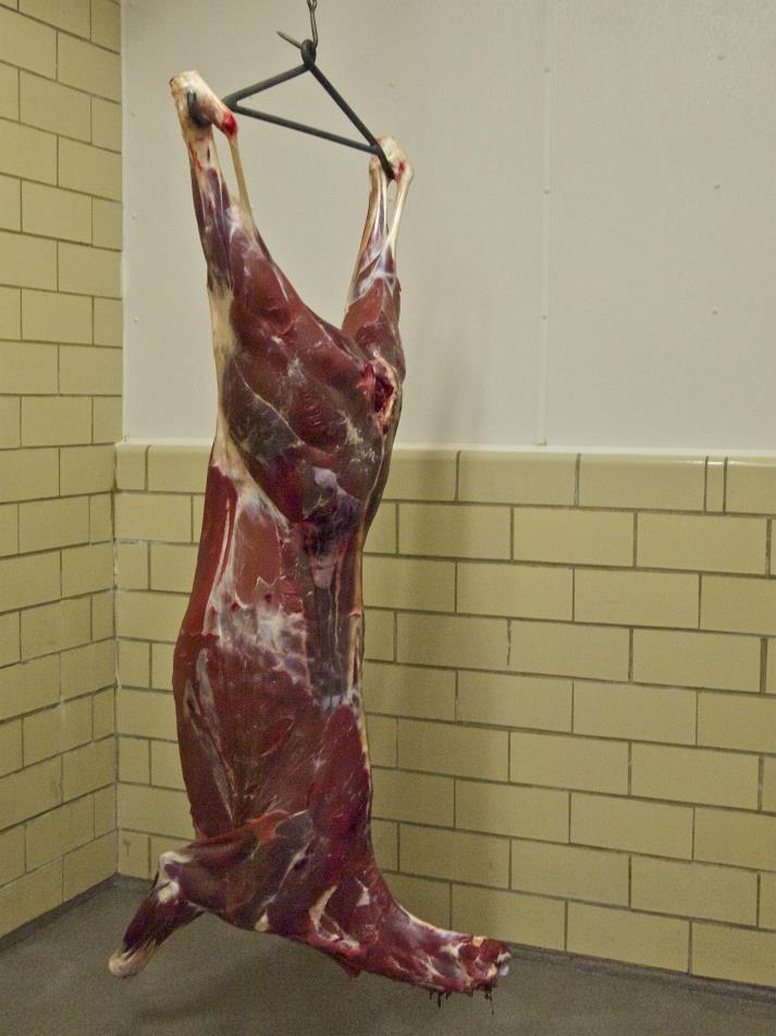 Whole Carcass Sales Restaurants & Chefs Boutique & Artisan Butchers Cooperatives Private Parties Don t forget the special bits, including the head, glands and organs including