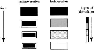 Göpferich theory of polymer erosion: ε =
