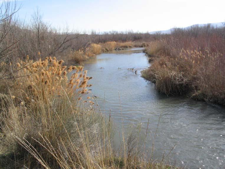ISSUES TO INCORPORATE INTO JORDAN RIVER TMDL Jordan River at 13000 South Implications for large Wastewater Treatment Plants