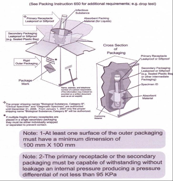 Example Category B Packaging: Source: Infectious