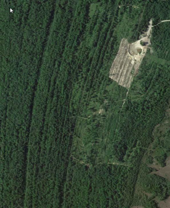 Imagery: Over head image of a portion of the Squaw Bay Wooded Dune and Swale Complex with an