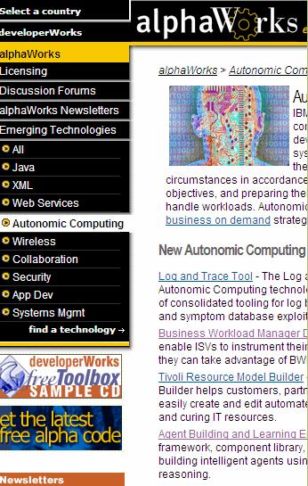 Autonomic Computing alphaworks Zone Get started developing autonomic solutions now Available on alphaworks: Log and Trace Tool Business Workload Management Demo Tivoli Resource Model Builder Agent
