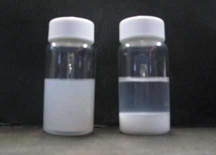diacrylate (TPGDA) and 1,6-hexanediol diacrylate (HDDA). With such stability packages, concentrated but fluid dispersions containing up to 30 wt% alumina can be prepared.