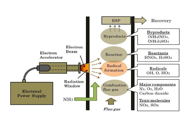 Electron beam flue