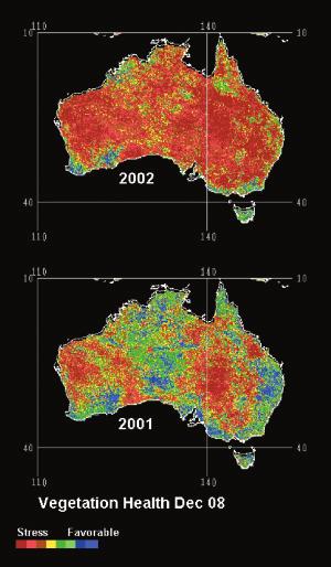 GLOBAL WARMING INCREASES EVAPORATION RATES AND DRYING OF VEGETATION The higher temperatures have also placed Australian vegetation under severe stress, as captured by satellite data processed in the