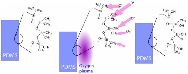 Features of PDMS (Cont.