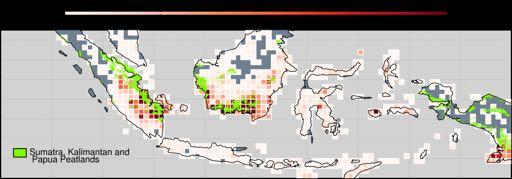 Indonesian fire emissions during the current El