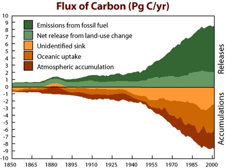 Historical Estimates of Carbon