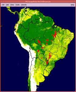 Deforestation in South America derived from AVHRR data (1980-2000) Estimated Carbon Flux from Tropical Deforestation and Regrowth based on Satellite Observations for 1980-2000 Annual net carbon flux