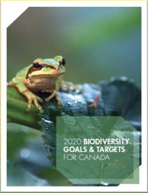 Targets Goal C: To improve the status of biodiversity by safeguarding ecosystems, species and genetic diversity Aichi