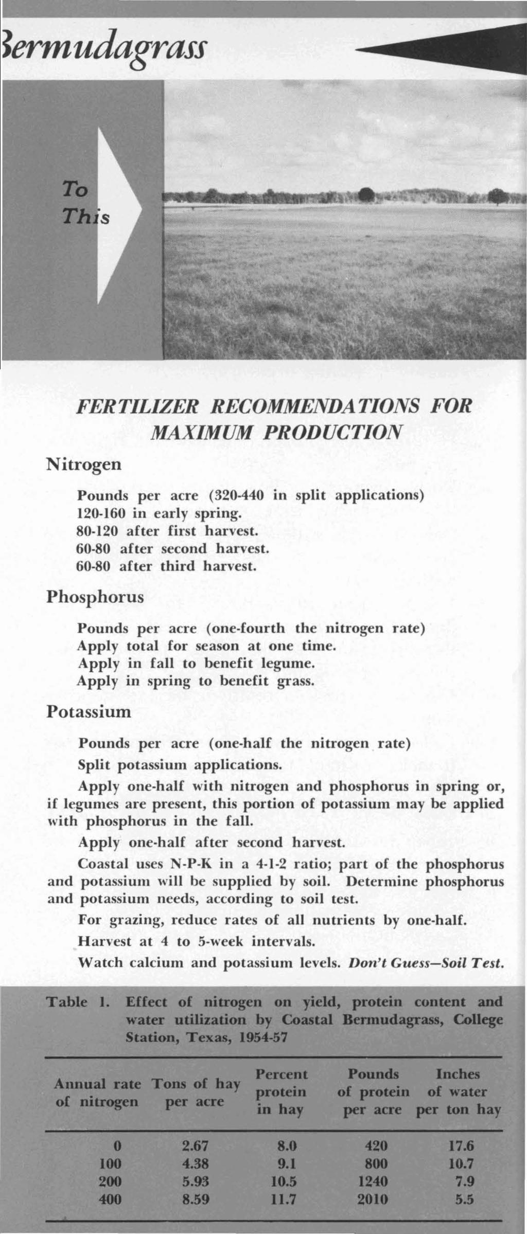~ermudagrass FERTILIZER RECOMMENDATIONS FOR MAXIMUM PRODUCTION Nitrogen Pounds per acre (320-440 in split applications) 120-160 in early spring. 80 120 after first harvest. 60-80 after second harvest.