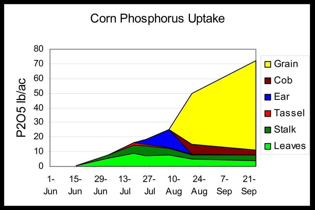 Phosphorus (P) Phosphorus is required for plant growth and seed development. Considered immobile in the soil, P is taken up by the root by diffusion over short distances through the soil solution.