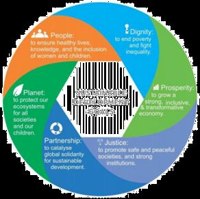 Circular economy and the chemicals sector Holistic