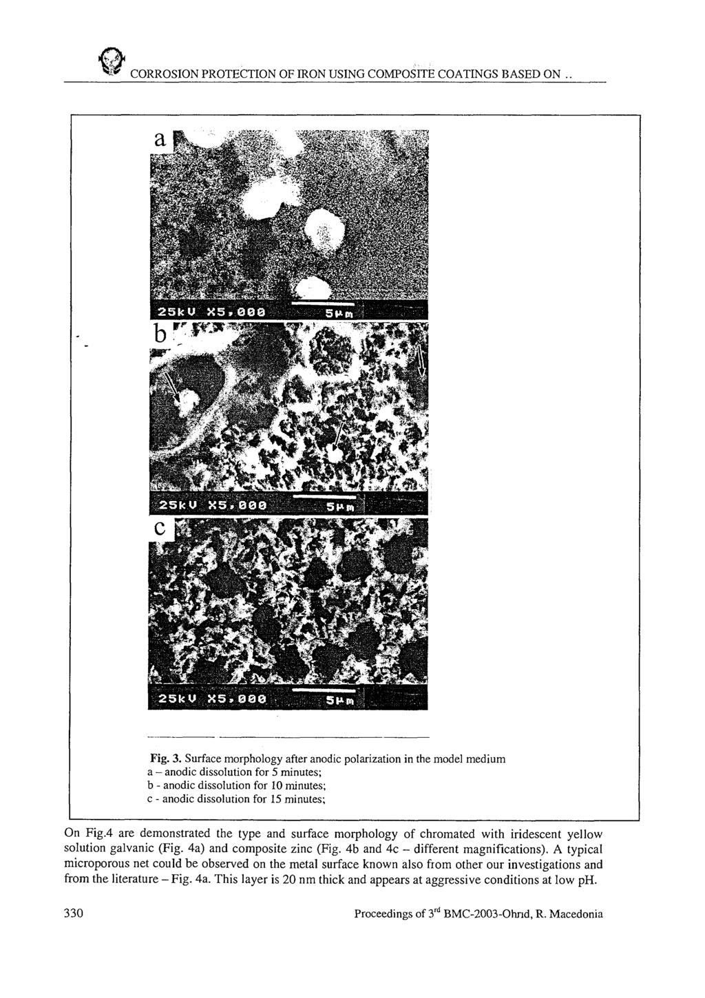 CORROSION PROTECTION OF IRON USING COMPOSITE COATINGS BASED ON Fig. 3.