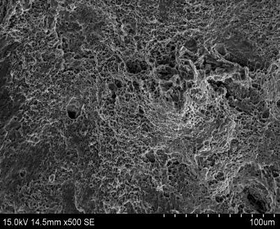 A Study of microstructure and mechanical properties of 5083 Al-alloy welded with fiber laser welding Fig.6. showed the SEM image of tensile fracture sample in 5083 aluminum welded joint.