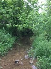Improving Forest-related BMPs Riparian Forest Buffers Consider drainage flow