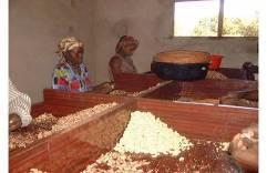 Women processing cashew in Moginqual District, Nampula Personal Views.