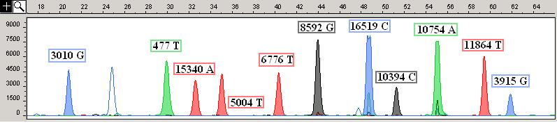 Figure 12. Multiplex Panel B Plots of fragment size (x-axis) relative to 120LIZ size standard (Applied Systems) and relative fluorescent units (RFUs, y-axis).