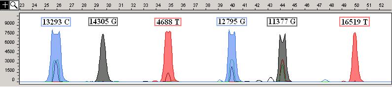 Figure 17. Multiplex Panel H Plots of fragment size (x-axis) relative to 120LIZ size standard (Applied Systems) and relative fluorescent units (RFUs, y-axis).