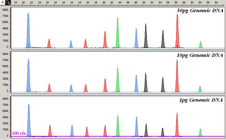 than 10pg of genomic DNA. A dilution series from at least two different positive controls was run for each Caucasian multiplex panel. The dilution series concentrations ranged from 500pg to 0.1pg.