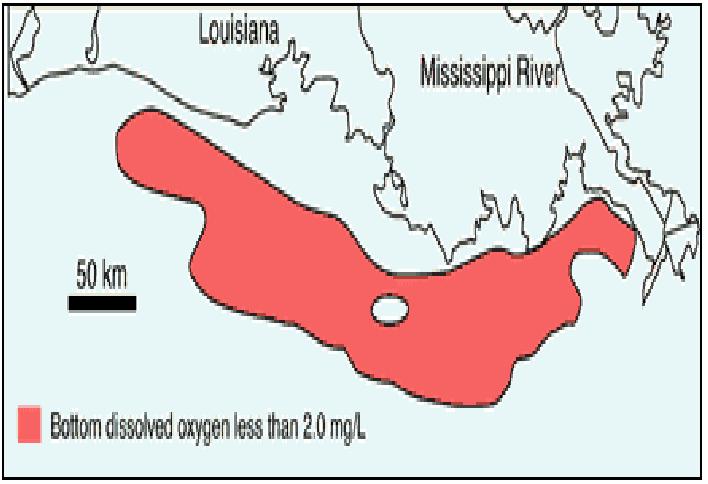Northern Gulf of Mexico: a large area of hypoxia