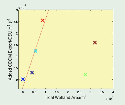 Tidal Wetland Derived CDOM Export Tidal wetlands contribute significantly to CDOM export. Reflected in mixing curve where most of wetlands are in estuarine portion.