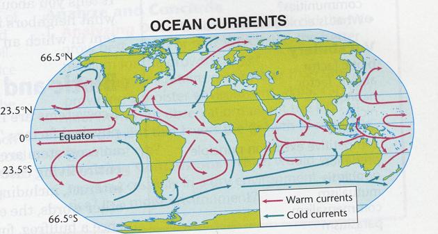 Heath Transport in the Biosphere Ocean currents Cold water near the poles sinks to the ocean bottom and flows toward warmer regions.