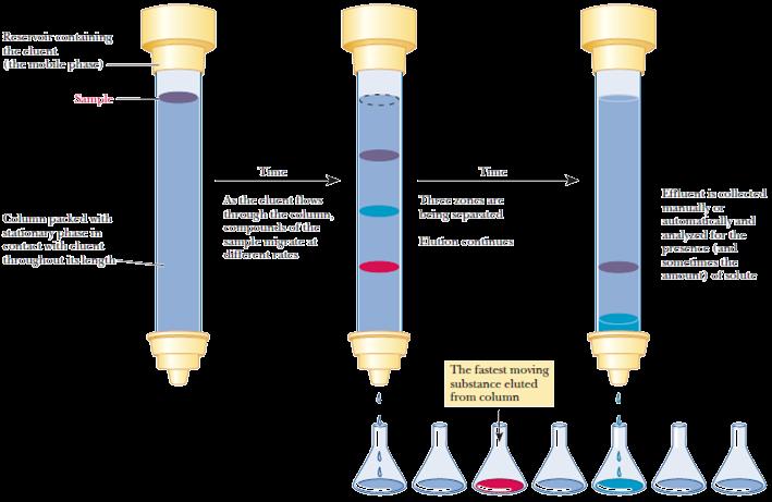 Column Chromatography 0 Greek chroma, color, and graphein, to write 0 Is it just for colourful proteins?
