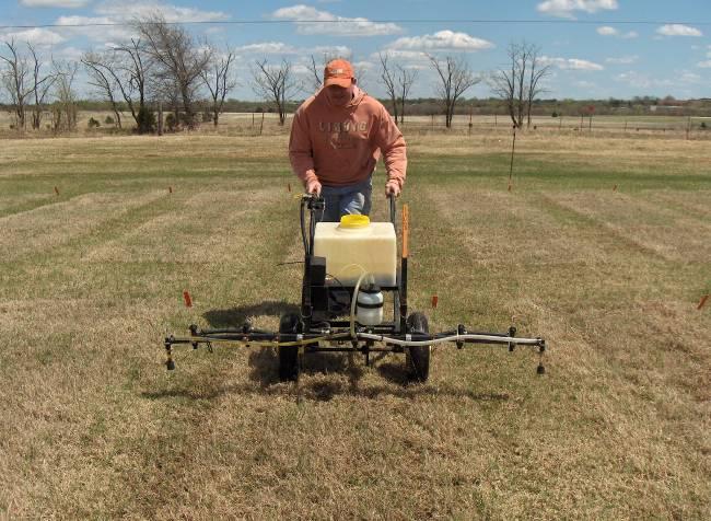 Experiment: Fertilizer Comparisons in Bermuda grass Location: Shawnee, OK Year: 2008 Dates of Harvest: June 11 and July 21 Variety: Common Bermuda grass Plot Size (replications): 6 feet x 20 feet (3