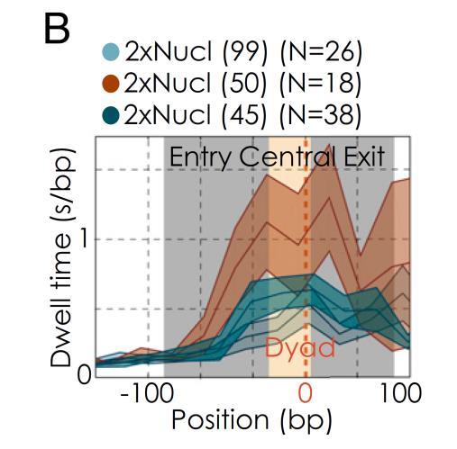 Continued Work with Optical Tweezers Method Fitz et al. Nucleosomal arrangements affects single molecule transcription dynamics.