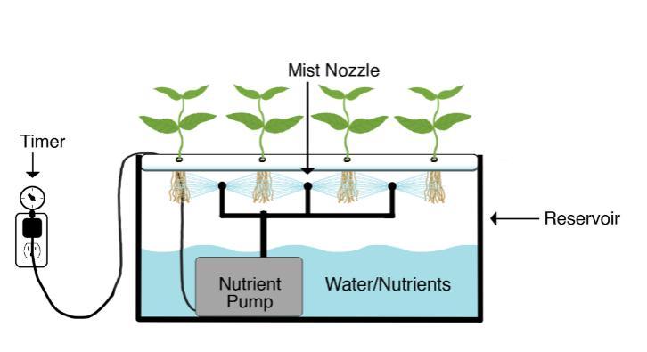 Type: Aeroponics Define:Growing vegetation without soil, but the roots are suspended and sprayed with water and/or nutrient solution.