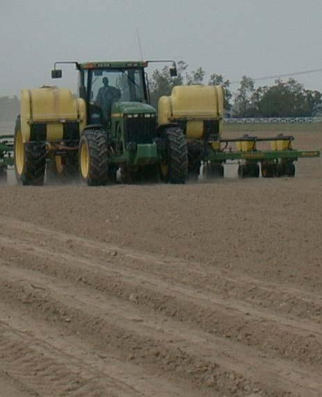 Seedbed Prep Seedbed Preparation Emergence and Plant Population Plant uniformly spaced seeds (drilled or hill-drop pattern) with good seed-to-soil contact, warm soil temperatures of at least 65 F,