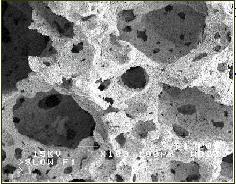 Metal Foams Produced by PM This process can produce a very porous structure Window Cells Cell Next time Processing of Ceramics Production Steps of IMI metal foam Microstructure of the