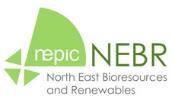 NEPIC Leadership Team PEG Manufacturing & Productivity Skills & Resources Energy
