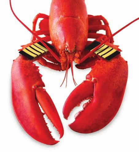 RogeR, KentucKy LobsteR, you are cleared for takeoff. If you dined on fresh lobster last night, chances are, it originated in Kentucky.