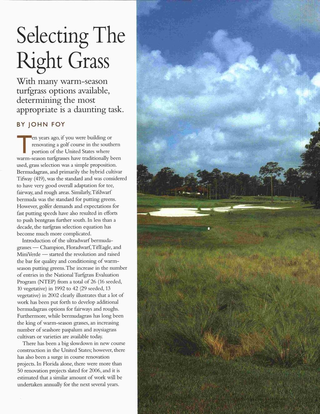 Selecting The Right Grass With many warm-season turfgrass options available, determining the most appropriate is a daunting task.