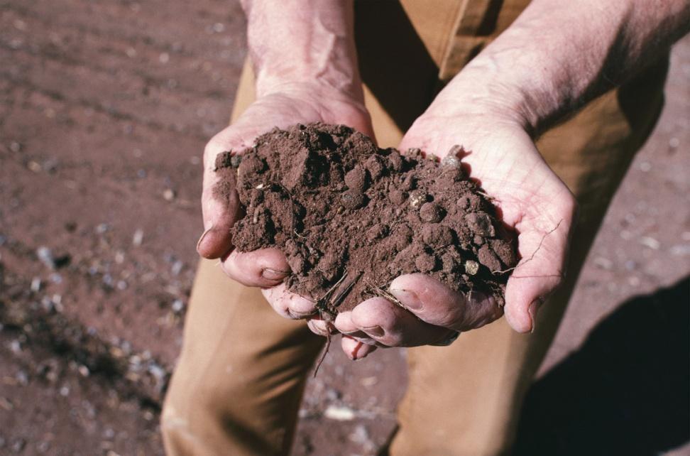 Canada s Soil Systems It may look like soil is just a bunch of dirt, but