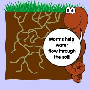 The worms, fungi, bacteria, and other