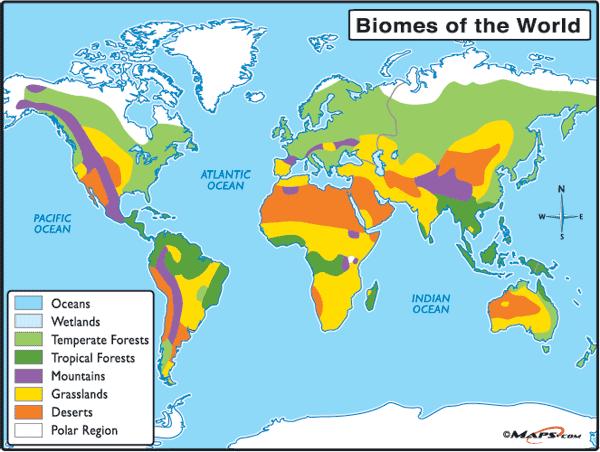 Biomes The types of plants in a biome depend on the climate and landforms in that biome.