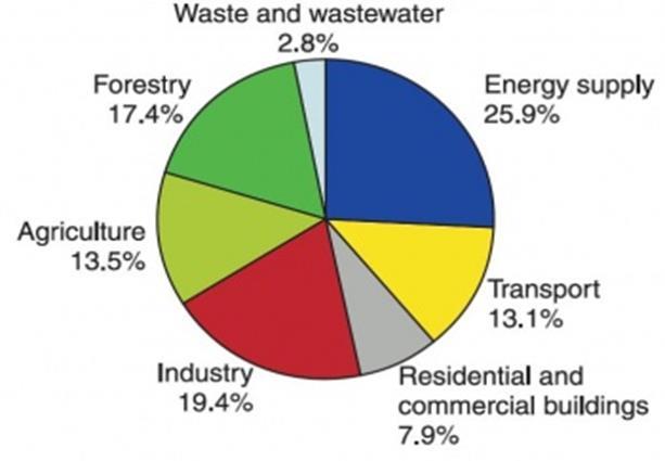 Waste Sector