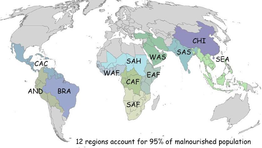 Food availability and the developing world 800 M people are malnourished today 95% are in the tropics/subtropics Lobell et al (2008) What food do they eat?