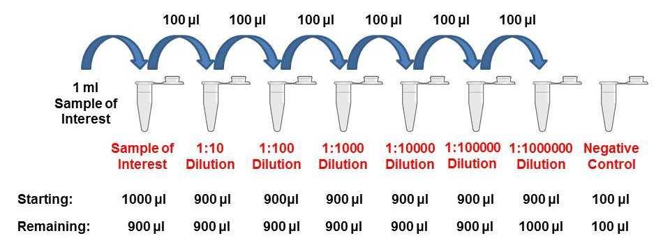 Shown below is a diagram illustrating a hypothetical 2- fold serial dilution on a given reconstituted Protein.