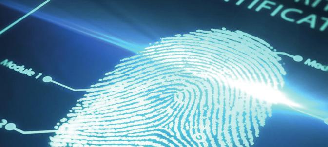 3.3 Gemalto s Fingerprint Verification Solution (AFIS) Gemalto Automated Fingerprint Identification System provides true, integrated multimodal fingerprint identification.