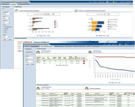 Executive Visibility Oracle Financial Management Analytics New offering that leverages OBIEE for pre-built dashboards and analytics Direct, native access to data in Hyperion