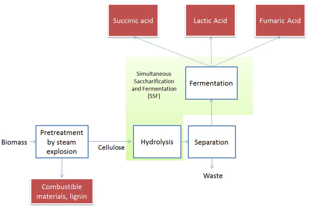 Figure 3.6. Block diagram for the fermentation of lignocellulosic biomass to produce different acids process (Adapted from Kamm et al., 2006).