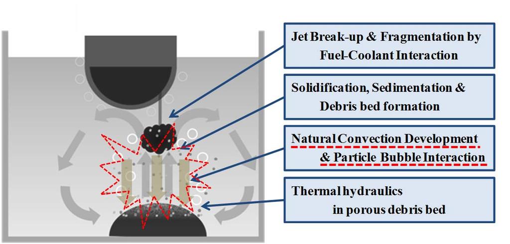 A.2 Total scope and Objective The development and sustainability of the coolable porous debris bed is critical in the success of the wet-cavity strategy.